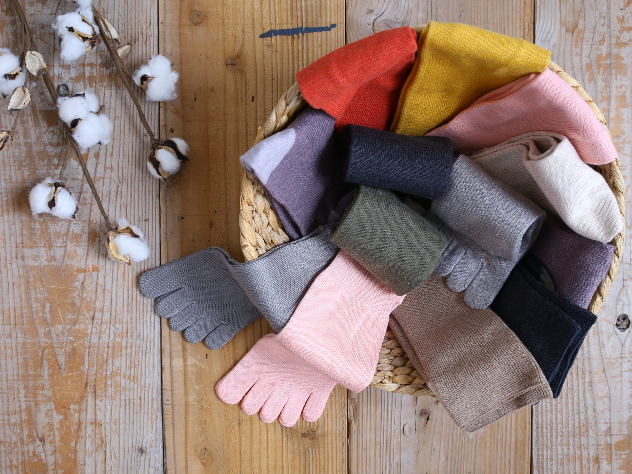 MAITO期間限定ショップ　2026年3月